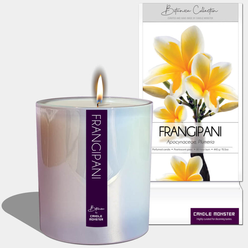 Frangipani Scented Candle - Candle - Candle Monster