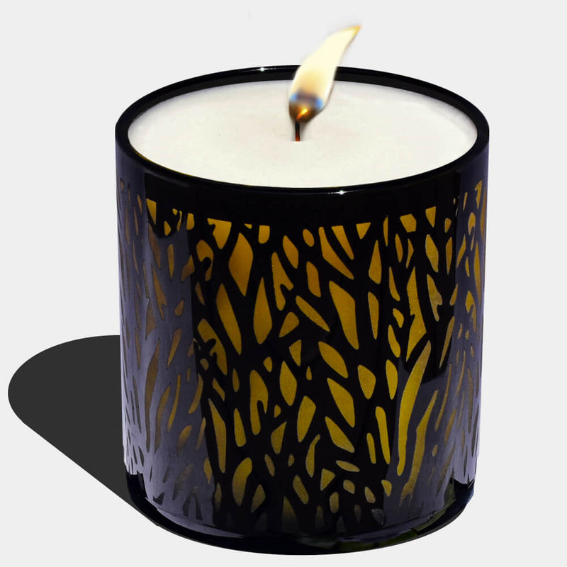Rainforest - Candle - Candle Monster